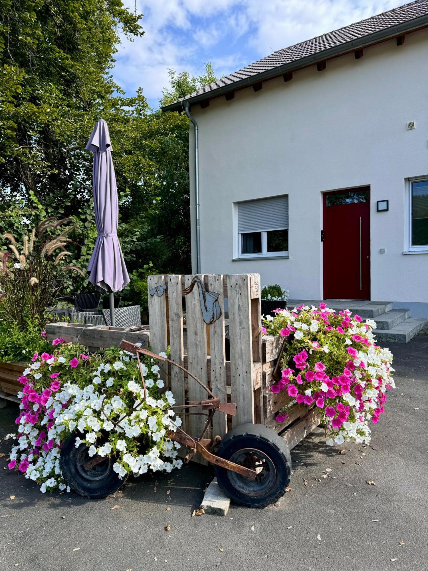 Ferienwohnungen Frank Segnitz Exteriör bild